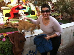 Malta loves its cats!