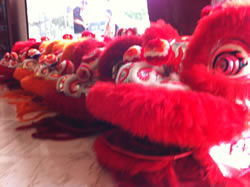 Chinese new year preparations in Singapore