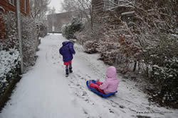 Sledding to School - We moved from hot Australia to cold Holland - and even had to take the sled to school for a few days!