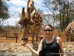 Feeding a giraffe in Kenya