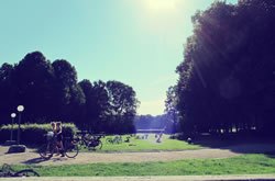 Fælledparken - a cozy park where you can go for sun bathing, strolls, gatherings, outdoor theatre and concerts