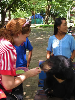 Feeding a bear at Yangon Zoo