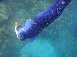 My son duck diving at the Great Barrier Reef in April of 2012.  He wants to return to Australia and work as a marine biologist on the Great Barrier Reef one day.