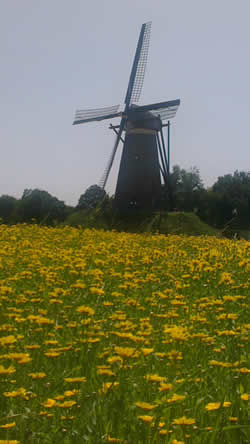 Windmill used as a subject by Vincent van Gogh in Neunen