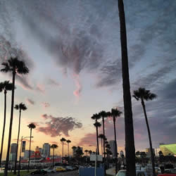 Palm trees and magnificent sky - Los Angeles staples