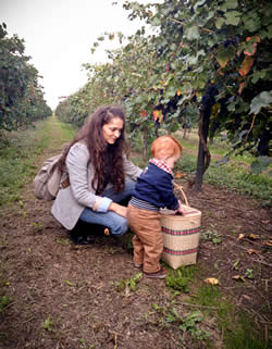 Grape picking with my toddler in the Modena countryside