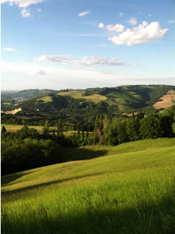 A snapshot from one my hikes through the Bolognese countryside