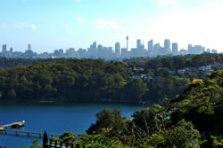 View of Sydney taken while hiking in the city