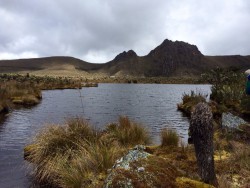 Hiking in the Páramo, two hours south of Bogotá