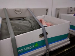 Traveling with baby, the bassinet