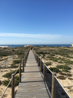 The beautiful Dunes - made for walking and thinking!