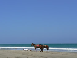 Beach in North of Peru