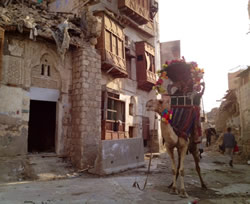A camel walked right past me in Al Balad. What a treat!