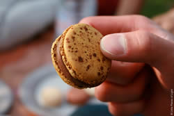 Meet Milsters - Canadian Expat in Paris