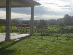 Cathy’s house and part of the garden in Capodimonte