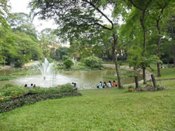 Saigon Botanical Gardens