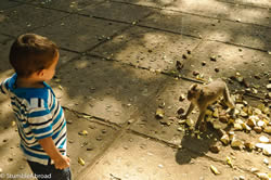 Ana's son Evan at the Monkey Forest in Bali 