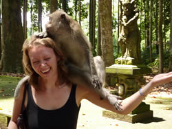 Meeting the 'locals' in Sangeh monkey forest