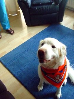 Turner Jansen, exPET