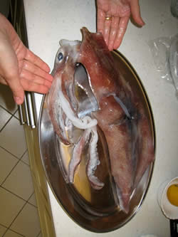 A huge squid, caught in the Adriatic sea, and purchased at the local fish market.  Made for quite a tasty risotto.
