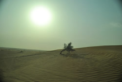 Dubai sand dunes
