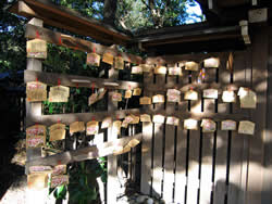 Wish boards at Atsuta Shrine