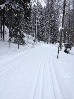 Cross-country ski trail