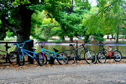 Parc Bordelais - Bordeaux