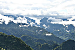 A gorgeous morning on Alishan