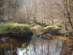 Walk through the enchanted forest of Huelgoat