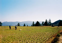 The Longji Rice Terraces in Guangxi province