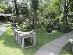 Bonsai garden at People's Park in Chengdu