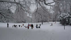 Sledding in one of the many parks during the winter