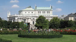 The roses at the people's garden with the Burgtheater in the background