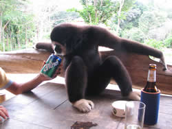 Sundowners with Charlie