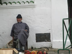 This would be a good place to buy a chicken