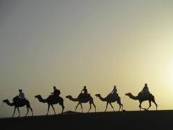 The Casablanca tramway is generally more efficient than going by camel