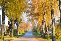 Our beautiful village on an autumn day.