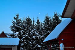 A real winter wonderland.