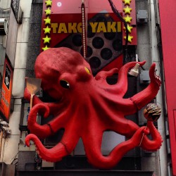 Takoyaki is so good even the octopus likes it.