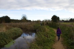 A local walking trail in Suffolk.