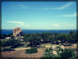 A View of Lake Victoria