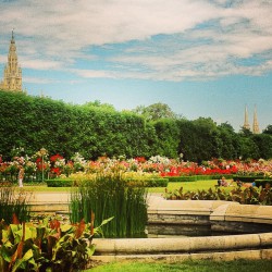My favorite garden in all of Vienna - Volksgarten.