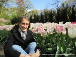 Of course I should include tulips in at least one picture!