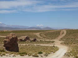 Exploring the country.