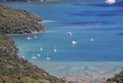 View from Mt Hobson on Great Barrier Island, New Zealand