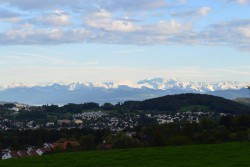 The view from the hill in our backyard.