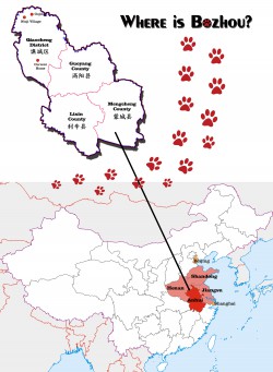 See where Bozhou is located in China.