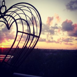 Home in the Netherlands