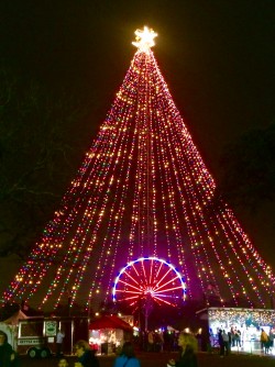 Austin Trail of Lights at Christmas